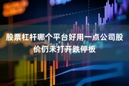 股票杠杆哪个平台好用一点公司股价仍未打开跌停板