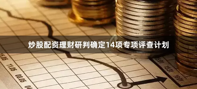 炒股配资理财研判确定14项专项评查计划