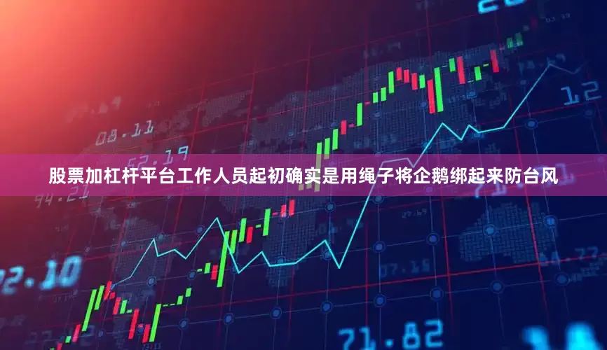 股票加杠杆平台工作人员起初确实是用绳子将企鹅绑起来防台风