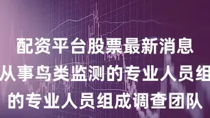 配资平台股票最新消息选派多年从事鸟类监测的专业人员组成调查团队