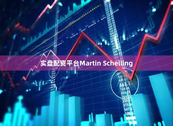 实盘配资平台Martin Schelling