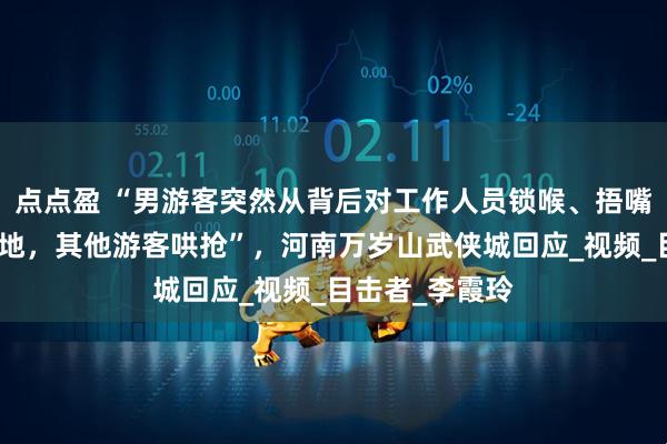 点点盈 “男游客突然从背后对工作人员锁喉、捂嘴，将其摁倒在地，其他游客哄抢”，河南万岁山武侠城回应_视频_目击者_李霞玲