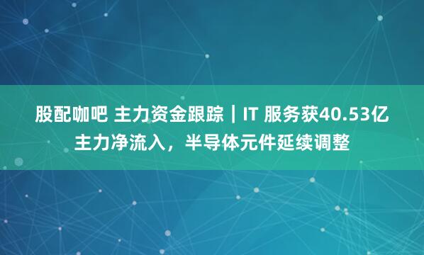 股配咖吧 主力资金跟踪｜IT 服务获40.53亿主力净流入，半导体元件延续调整