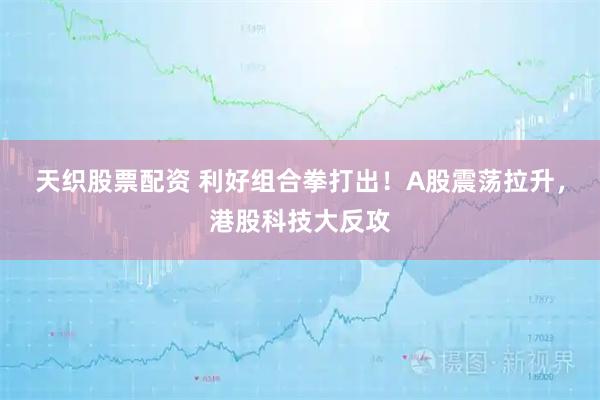 天织股票配资 利好组合拳打出！A股震荡拉升，港股科技大反攻