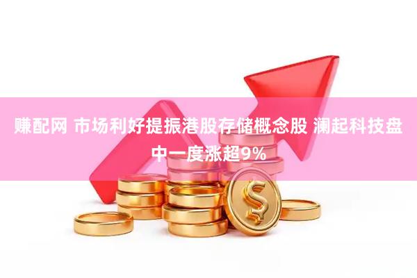 赚配网 市场利好提振港股存储概念股 澜起科技盘中一度涨超9%